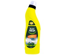Master FRESH  Универсальный концентрированный гель Лимон, 750 мл С0006736