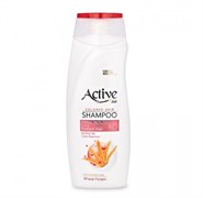 ACTIVE ИРАН / Шампунь для окрашенных волос CARE &amp; BEAUTY. С кератином и пшеничным протеином, 350 мл ББ01310