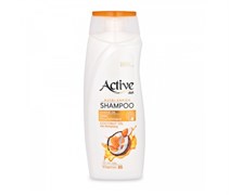 ACTIVE ИРАН / Шампунь питательный CARE &amp; BEAUTY. С кокосовым маслом , 350 мл х 12 ББ01311