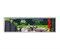 Master FRESH Губки для мытья посуды XL (bubble-поролон), 10шт. BLACK(20) С0008159