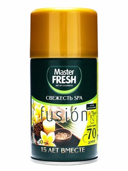 Master FRESH освежитель воздуха сменный баллон Свежесть SPA 250 мл С0007502