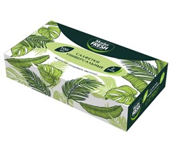 Master FRESH салфетки бумажные в коробочке, 100 шт, сложение нон-стоп С0007650
